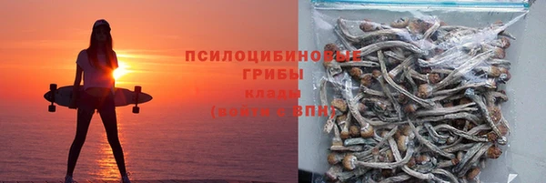 прущая мука Бородино