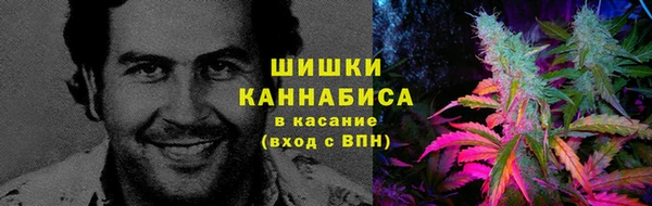 СК Касимов