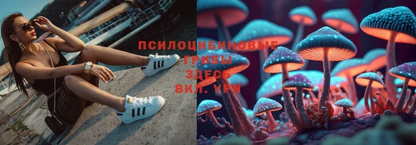 MDMA Premium VHQ Бугульма