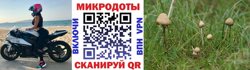 Галлюциногенные грибы прущие грибы  Киселёвск 